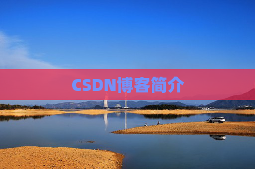 CSDN博客简介